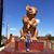 Mary Esparza- Williamson's profile image