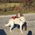 Olivia Andrzejewski's profile image