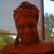 Shamika Wise's profile image