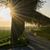 Bombadil Downs's profile image