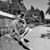 Eider Fiedler de Mello's profile image