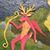 C Lloyd Swain's profile image
