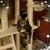 Laura Wenninger Lake's profile image
