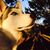 Meredith Babcock Merrill's profile image