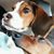 Penny Brannon's profile image