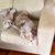 Sandy Windes's profile image