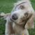 Donelle Gruszecki's profile image