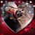 Suzanne Abbe's profile image