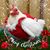 Sharon Verstraete Davila's profile image