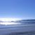 Michele Flach's profile image