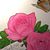 Laura West's profile image