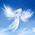 Yolanda Murillo's profile image