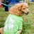 Betsy Ann's profile image