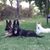 Kimberly Maher's profile image