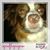 Sharon Blaylock's profile image