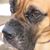 David J Boykin's profile image
