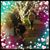 Paula Voag-Raglievich's profile image
