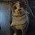 Brandon James Kyne's profile image