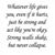 Suraz Shrestha's profile image