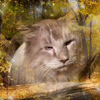 Deanna Sullivan Bejarano's profile image