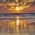 MaryAnn Castrilli Marshall's profile image