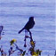Arnold Bamford's profile image