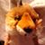 Bee Kee's profile image