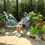 Mary Ann Hansen's profile image