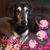 Cathy Lynn Jackson-Lindsey's profile image