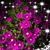 Wendy McNeil's profile image