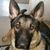 Kimberly Burek Godziebiewski's profile image