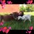 Nicole Ammons-Murphy's profile image