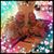 Linda Dietterich's profile image