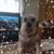 Kathy Klinebriel-Kline's profile image