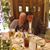 Debra Kleven's profile image