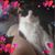 Robyn Persun's profile image