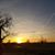 Terry L. Flowers's profile image