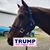 Diana Cronk's profile image