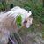 Laura Natella's profile image