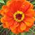 Nancy Morgan Robinson's profile image