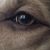 Barbara Johnson's profile image