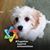 Merni Libonate's profile image
