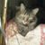 Sundra Payne's profile image