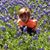 Martha Newberry's profile image