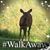 Penny Elaine Henrikson's profile image