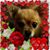 Janice Tenorio Aguon Ross's profile image