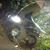 Brad Brackins's profile image