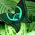 Monica Price's profile image