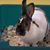 Stephanie Carlson's profile image