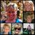Look Read's profile image